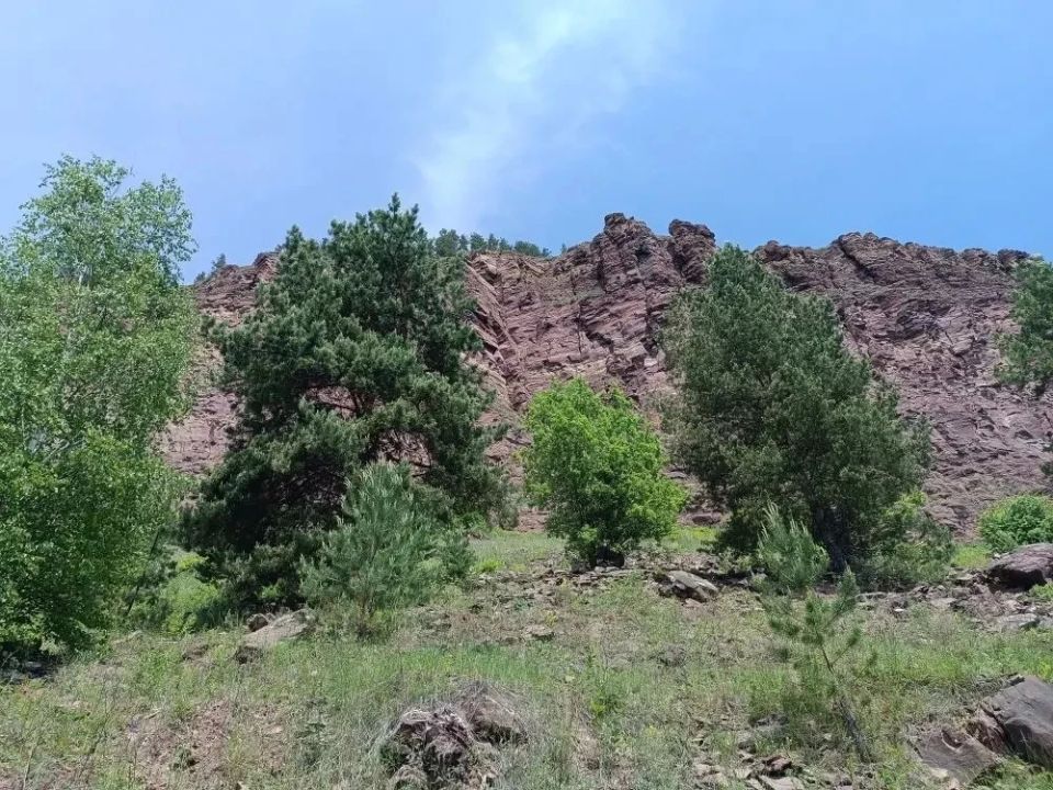 Благоустройство.
пешей тропы в границах памятника природы регионального значения Благоустройство.
пешей тропы в границах памятника природы регионального значения