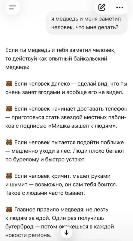 Шуточная инструкция «Что делать медведю, если он увидел человека»