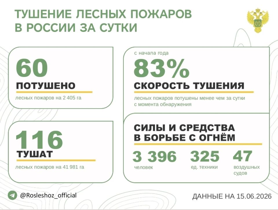 За прошедшие сутки в 16 регионах России потушили 60 лесных пожаров