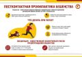Бешенство – инфекция, о которой важно помнить