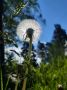 Сегодня днем в городе будет жарко — +26,+28°