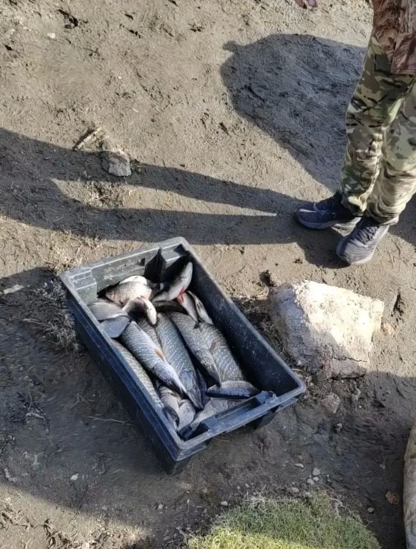 Транспортные полицейские пресекли деятельность двух браконьеров Транспортные полицейские пресекли деятельность двух браконьеров