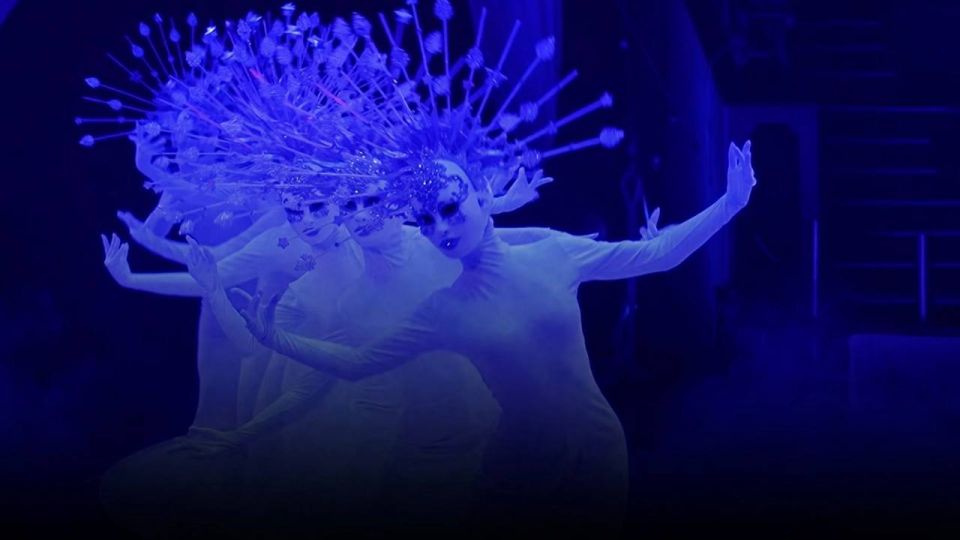 С 20 июня ледовый дворец «Айсберг» в Иркутске станет площадкой для водной феерии «Императорского цирка Моретти»