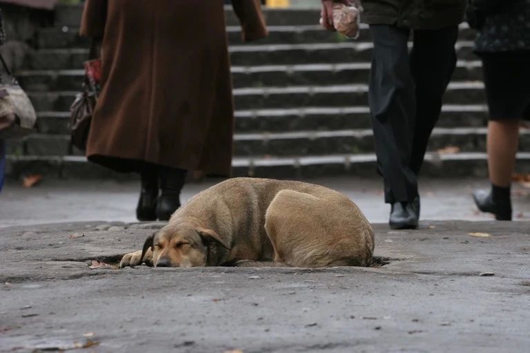 Ну вот и точка в долгом споре