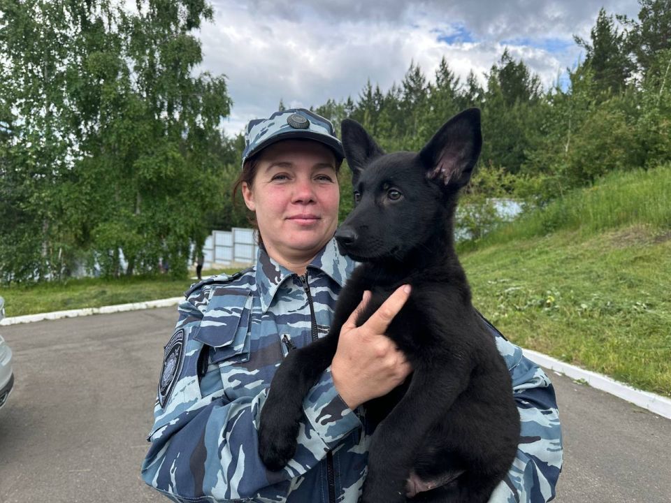 Обоняние, помноженное на обаяние: кинологи МВД в Иркутске рассказали, как крохотных щенков превращают в служебных собак