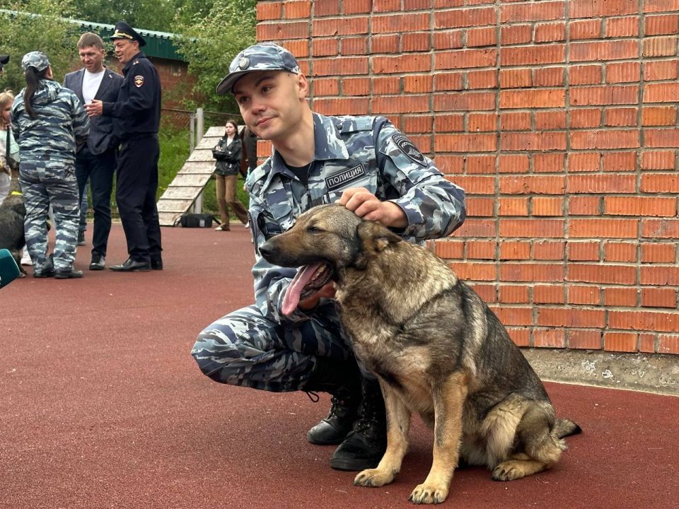 Обоняние, помноженное на обаяние: кинологи МВД в Иркутске рассказали, как крохотных щенков превращают в служебных собак Обоняние, помноженное на обаяние: кинологи МВД в Иркутске рассказали, как крохотных щенков превращают в служебных собак