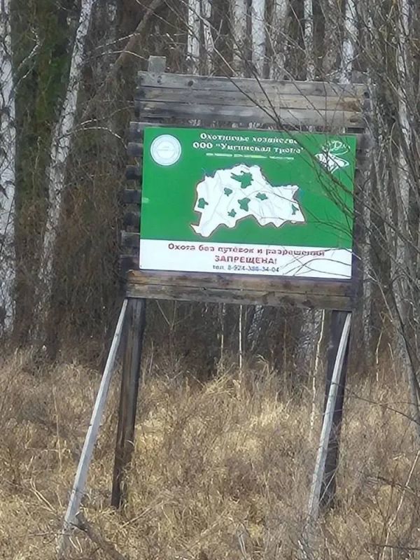 В Забайкалье усилена забота о диких животных В Забайкалье усилена забота о диких животных