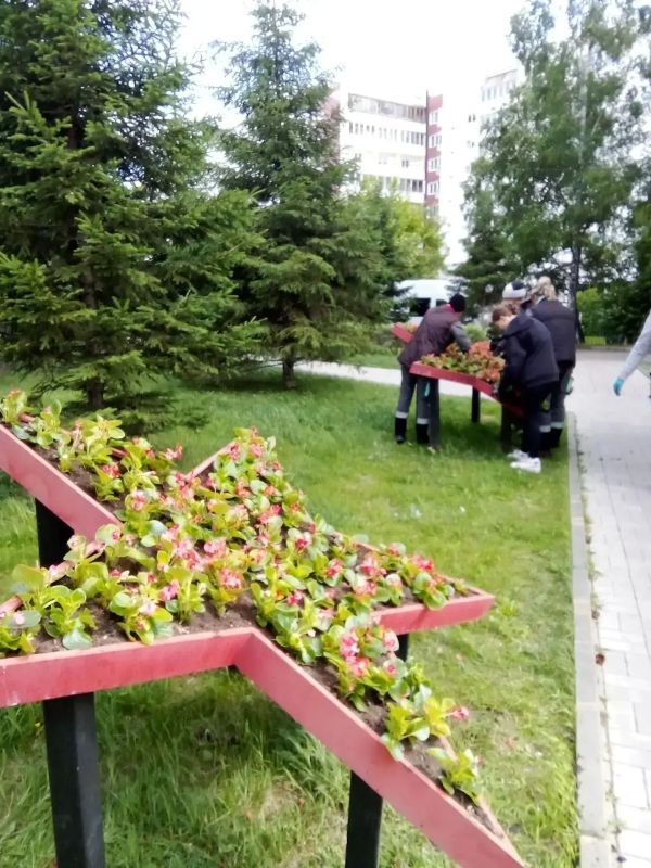 Завершается высадка цветов на городские клумбы в Иркутске