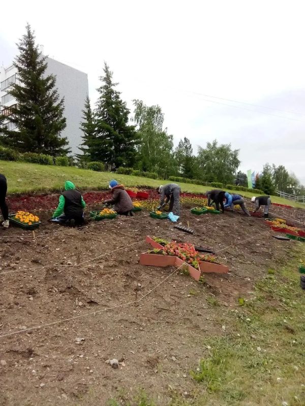 Завершается высадка цветов на городские клумбы в Иркутске Завершается высадка цветов на городские клумбы в Иркутске