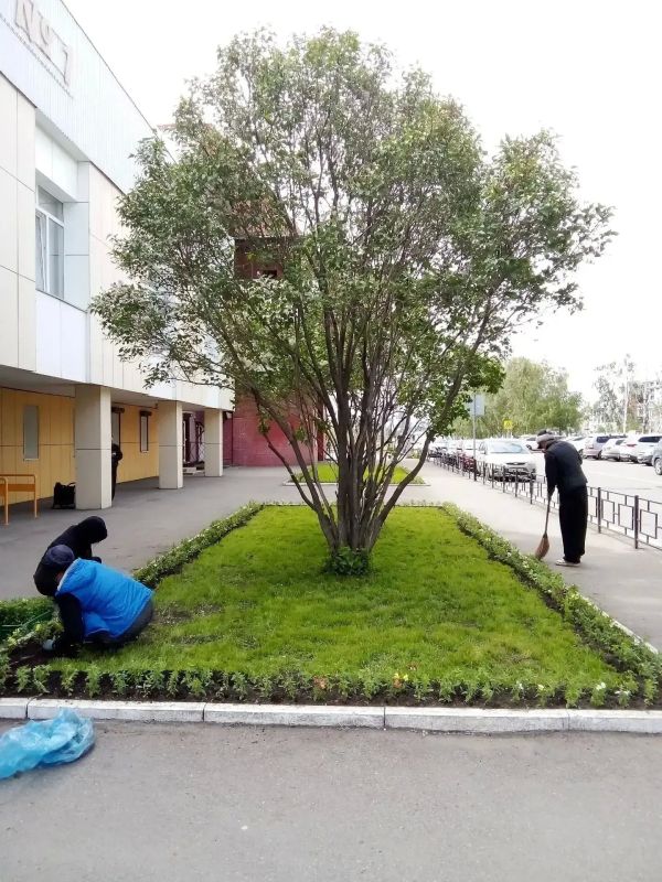 Завершается высадка цветов на городские клумбы в Иркутске Завершается высадка цветов на городские клумбы в Иркутске
