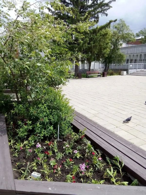 Завершается высадка цветов на городские клумбы в Иркутске Завершается высадка цветов на городские клумбы в Иркутске