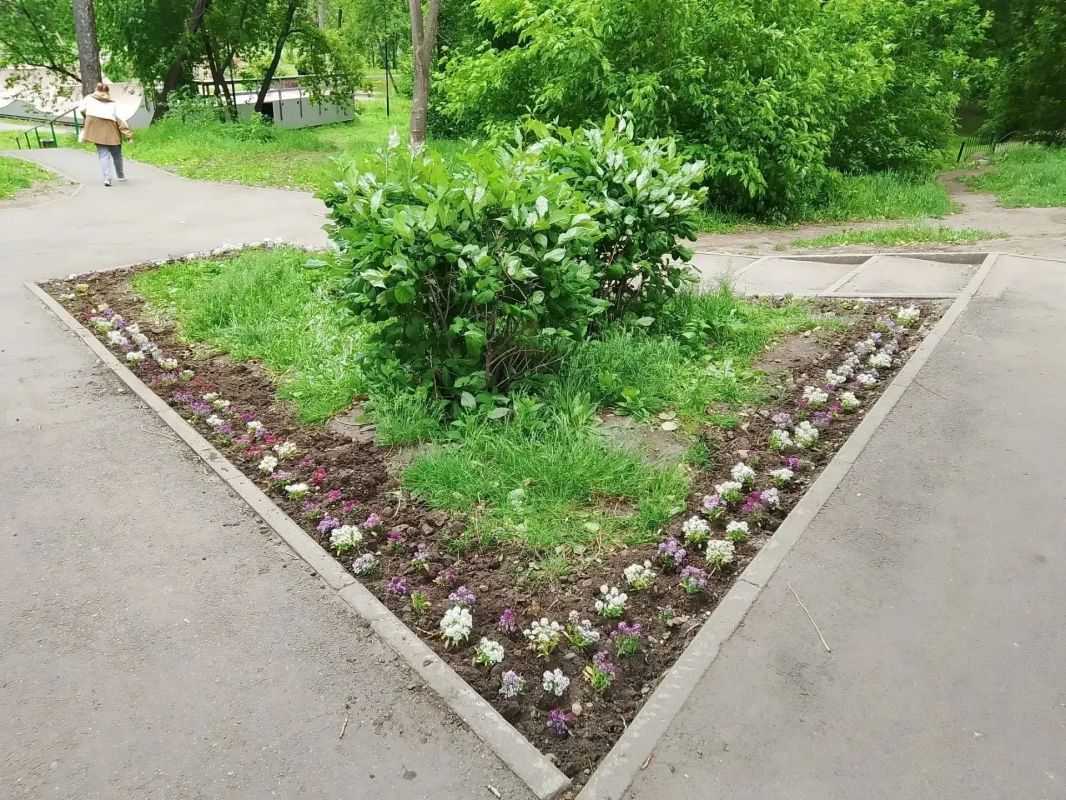 Завершается высадка цветов на городские клумбы в Иркутске Завершается высадка цветов на городские клумбы в Иркутске