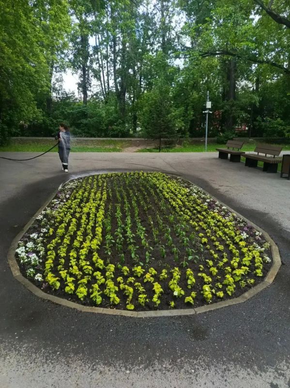 Завершается высадка цветов на городские клумбы в Иркутске Завершается высадка цветов на городские клумбы в Иркутске