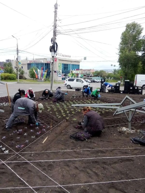 Завершается высадка цветов на городские клумбы в Иркутске Завершается высадка цветов на городские клумбы в Иркутске
