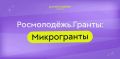 Молодёжь Иркутской области приглашают принять участие в конкурсе «Росмолодёжь.Гранты: Микрогранты», в котором можно выиграть сумму до 300 тыс