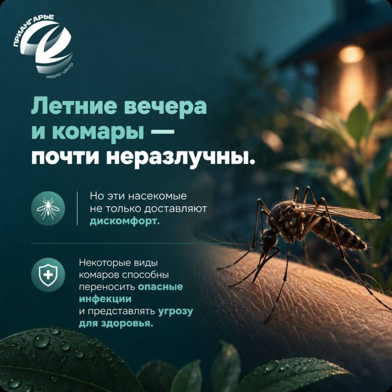 Встреча с комарами летом неизбежна, стоит только наступить теплым вечерам Встреча с комарами летом неизбежна, стоит только наступить теплым вечерам