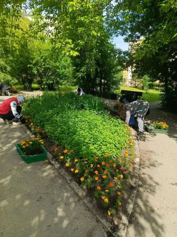 Сотрудники Горзеленхоза почти закончили оформлять клумбы в Иркутске Сотрудники Горзеленхоза почти закончили оформлять клумбы в Иркутске