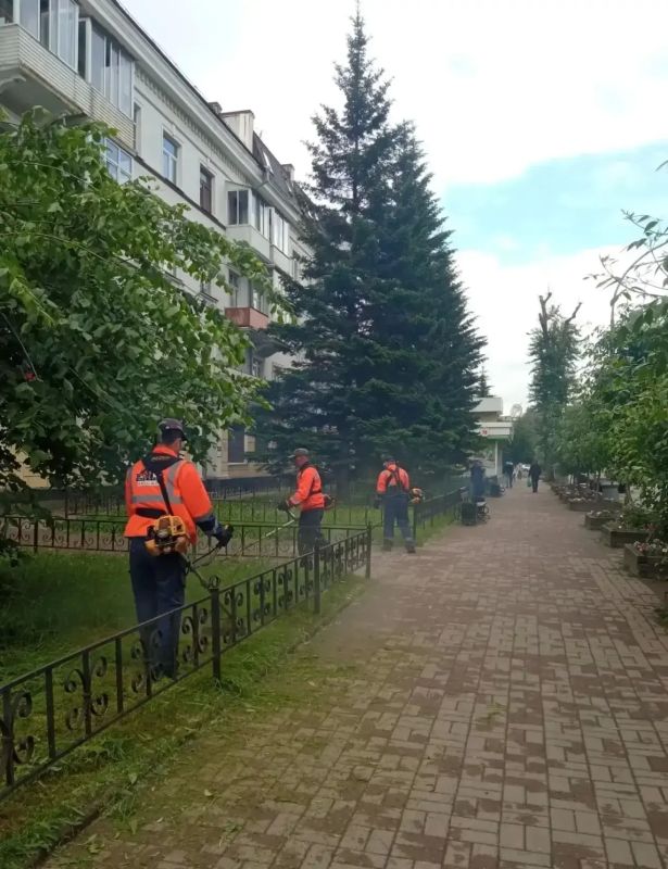 Покос травы, уборка дорог, тротуаров и остановок продолжается во всех районах Иркутска
