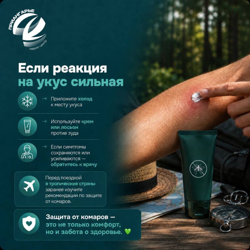 Встреча с комарами летом неизбежна, стоит только наступить теплым вечерам Встреча с комарами летом неизбежна, стоит только наступить теплым вечерам