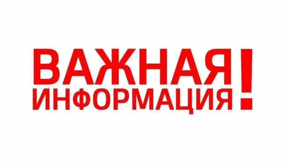 Не разводите костры в лесу: простые правила, о которых нужно помнить каждому