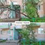 Работа с обращениями в социальных сетях: итоги недели
