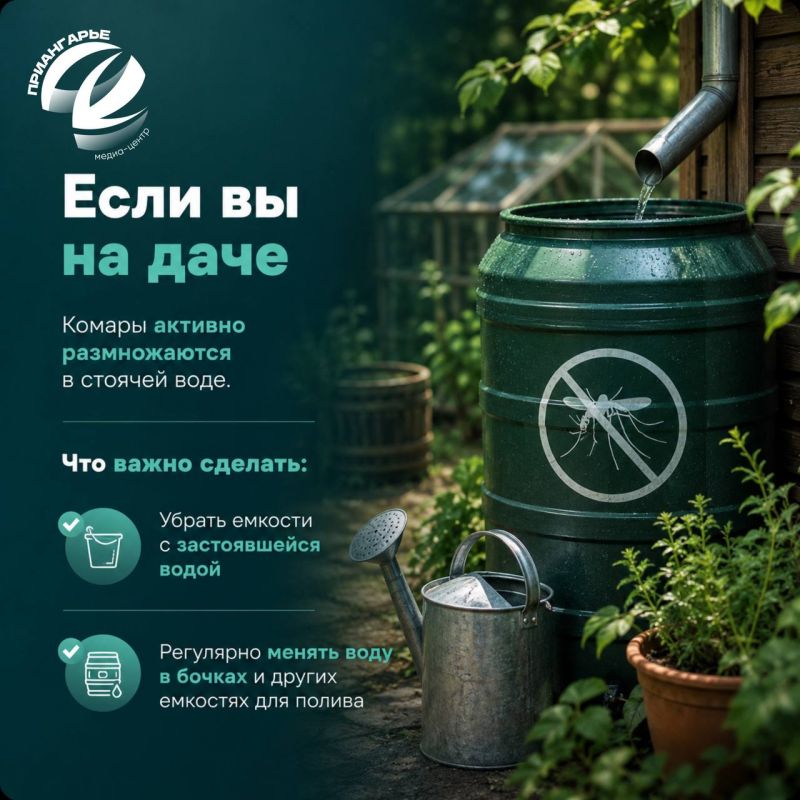Встреча с комарами летом неизбежна, стоит только наступить теплым вечерам Встреча с комарами летом неизбежна, стоит только наступить теплым вечерам