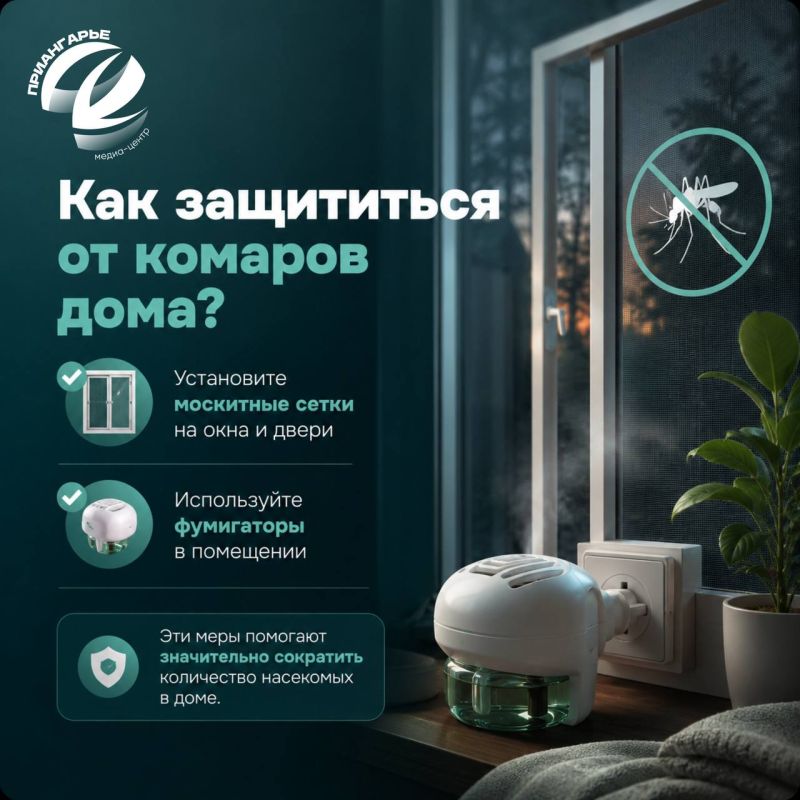 Встреча с комарами летом неизбежна, стоит только наступить теплым вечерам Встреча с комарами летом неизбежна, стоит только наступить теплым вечерам