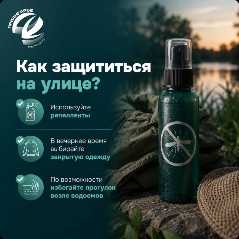 Встреча с комарами летом неизбежна, стоит только наступить теплым вечерам Встреча с комарами летом неизбежна, стоит только наступить теплым вечерам