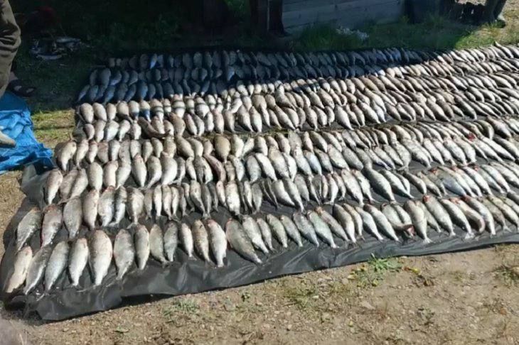 Браконьеры с ножом и затопленной лодкой попались в Бурятии