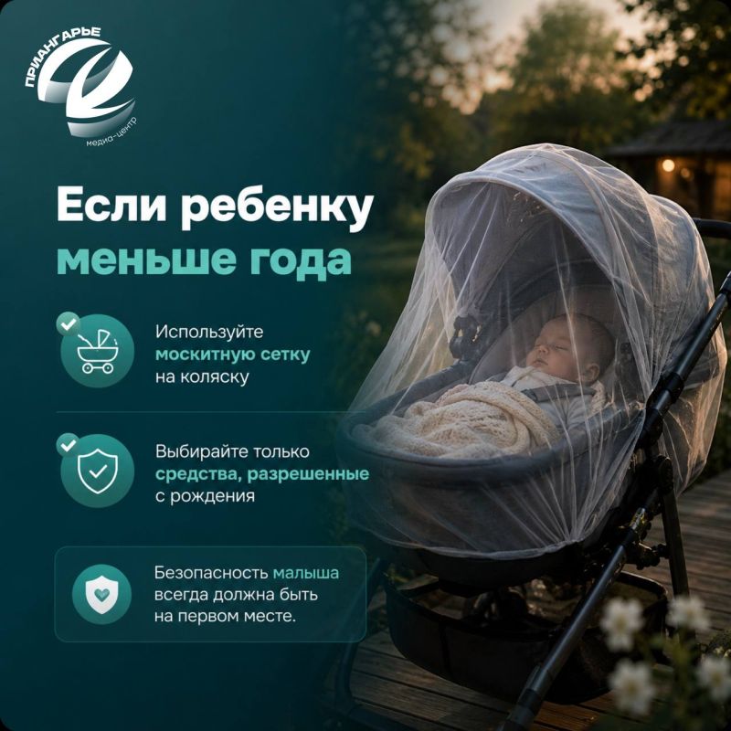 Встреча с комарами летом неизбежна, стоит только наступить теплым вечерам Встреча с комарами летом неизбежна, стоит только наступить теплым вечерам