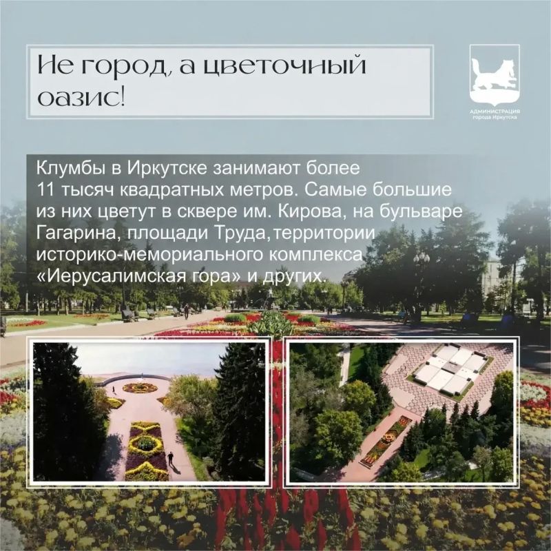 Ц – это про цветы. Иркутск по праву можно назвать одним из самых зелёных городов Сибири: здесь встречаются сотни растений, многие из которых являются настоящими природными редкостями Ц – это про цветы. Иркутск по праву можно назвать одним из самых зелёных городов Сибири: здесь встречаются сотни растений, многие из которых являются настоящими природными редкостями