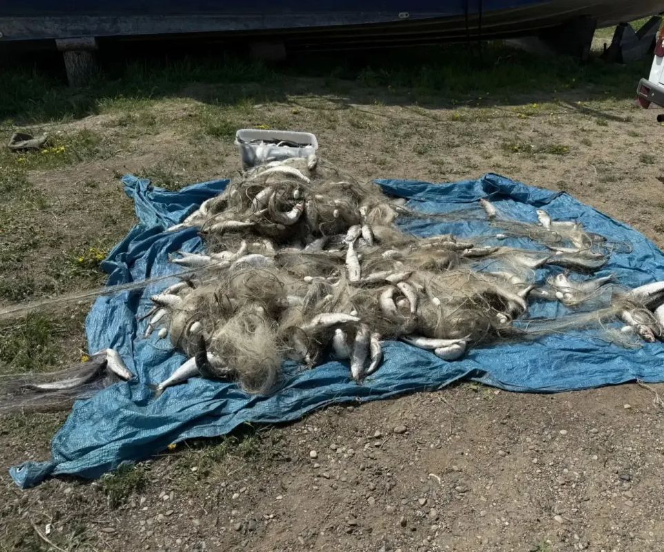 В акватории Байкала возле мыса Средний транспортные полицейские вместе с Рыбоохраной заметили резиновую лодку с двумя мужчинами В акватории Байкала возле мыса Средний транспортные полицейские вместе с Рыбоохраной заметили резиновую лодку с двумя мужчинами