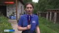 С серьезной коммунальной проблемой столкнулся и приют для бездомных животных в деревне Столбова