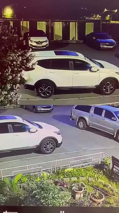 Иркутяне поймали цветочных воришек на видео