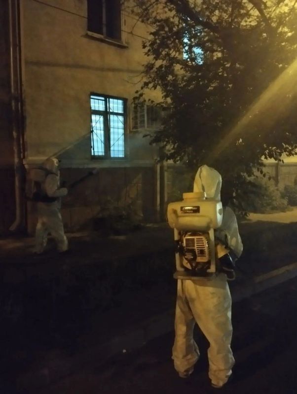 В Иркутске продолжается обработка деревьев от горностаевой моли В Иркутске продолжается обработка деревьев от горностаевой моли