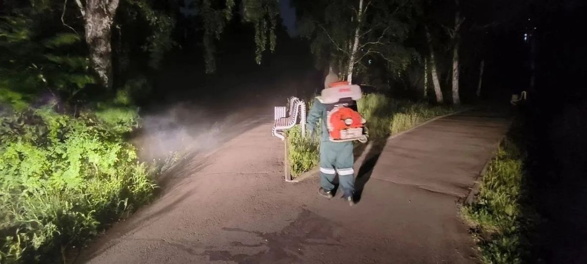 В Иркутске продолжается обработка деревьев от горностаевой моли В Иркутске продолжается обработка деревьев от горностаевой моли