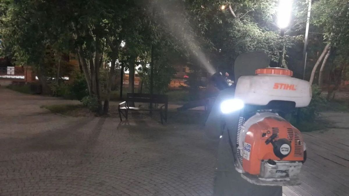 В Иркутске продолжается обработка деревьев от горностаевой моли В Иркутске продолжается обработка деревьев от горностаевой моли