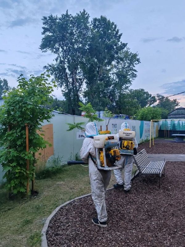 В Иркутске продолжается обработка деревьев от горностаевой моли В Иркутске продолжается обработка деревьев от горностаевой моли