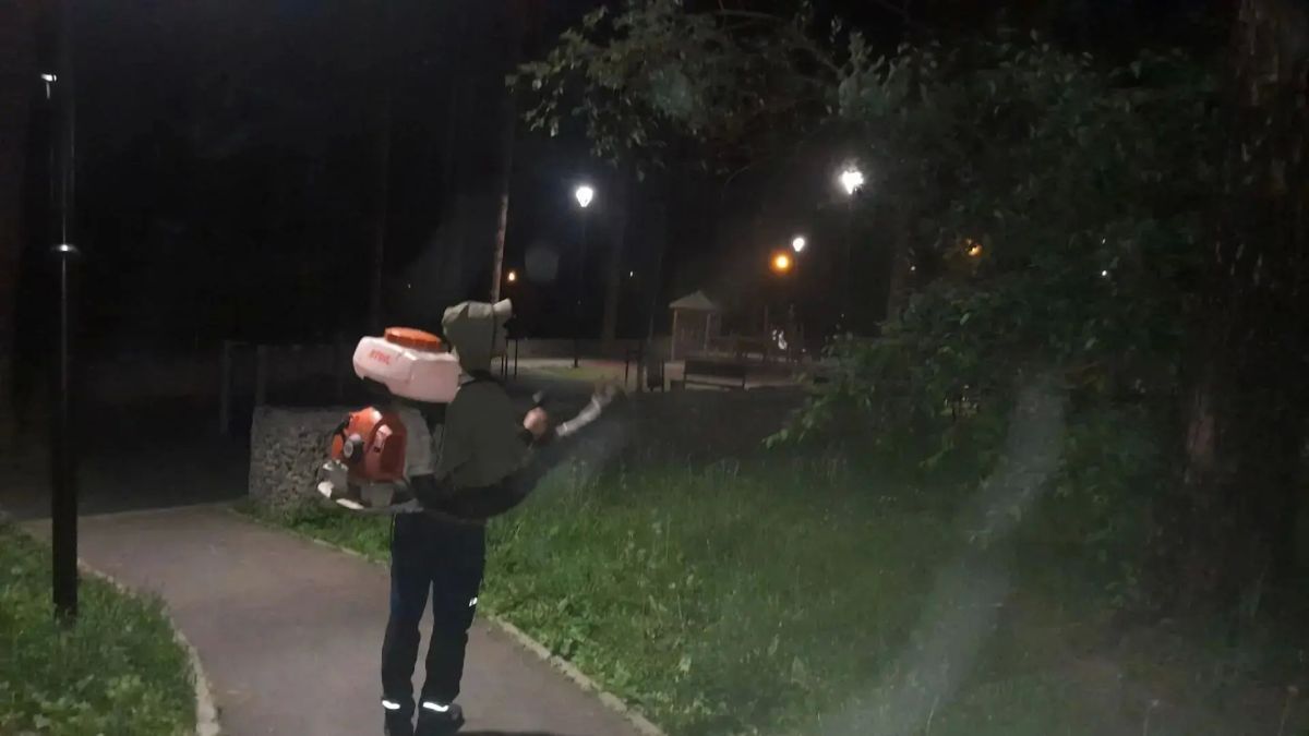 Ночью в Иркутске идет активная борьба с вредителями: деревья и кустарники обрабатывают от горностаевой моли Ночью в Иркутске идет активная борьба с вредителями: деревья и кустарники обрабатывают от горностаевой моли