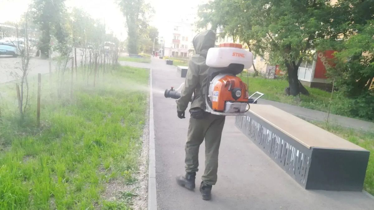 Ночью в Иркутске идет активная борьба с вредителями: деревья и кустарники обрабатывают от горностаевой моли Ночью в Иркутске идет активная борьба с вредителями: деревья и кустарники обрабатывают от горностаевой моли