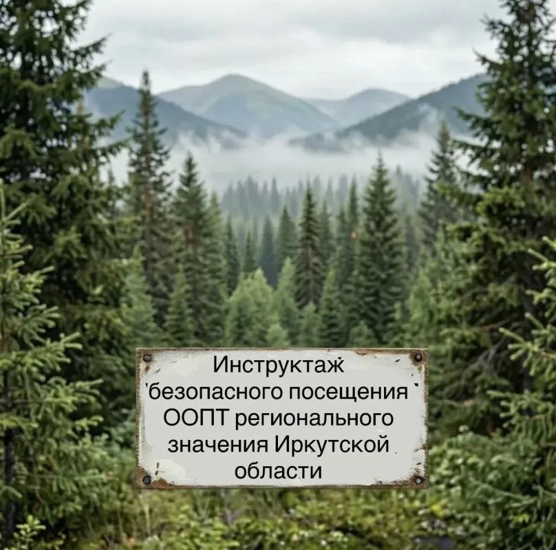 Внимание, путешественники и туристы!