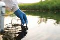 Результаты исследования воды водных объектов Иркутской области, расположенных в границах городских и сельских населенных пунктов