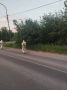 Иркутск борется с горностаевой молью: продолжается обработка деревьев