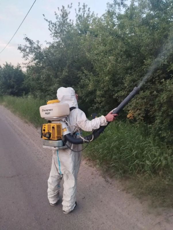 Иркутск борется с горностаевой молью: продолжается обработка деревьев Иркутск борется с горностаевой молью: продолжается обработка деревьев