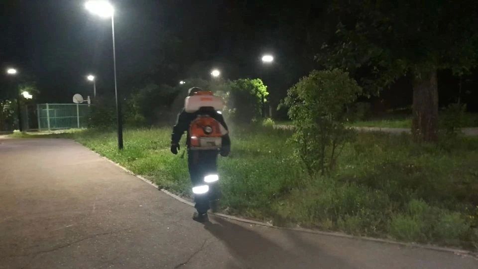 Второй этап борьбы с горностаевой молью продолжается в Иркутске Второй этап борьбы с горностаевой молью продолжается в Иркутске