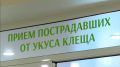 Больше 18 тысяч жителей Иркутской области пострадали от укусов клещей с начала сезона