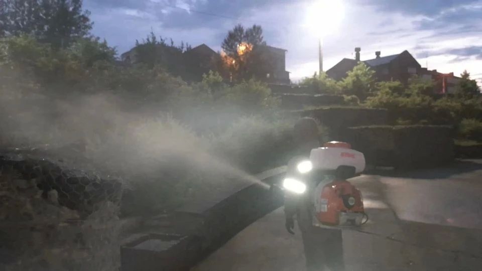 Второй этап борьбы с горностаевой молью продолжается в Иркутске Второй этап борьбы с горностаевой молью продолжается в Иркутске