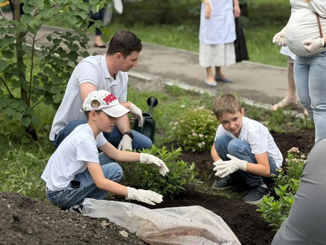 В Иркутской городской клинической больнице № 9 появилась аллея «Дерево семьи» В Иркутской городской клинической больнице № 9 появилась аллея «Дерево семьи»