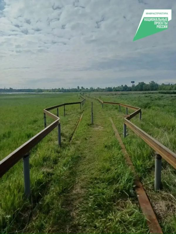 В Иркутске появится новая экотропа «Птичья гавань» В Иркутске появится новая экотропа «Птичья гавань»