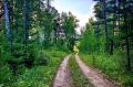 Доброе утро, Иркутск. Сегодня в городе потеплеет до +22…+24 градусов, пройдет кратковременный дождь с грозой